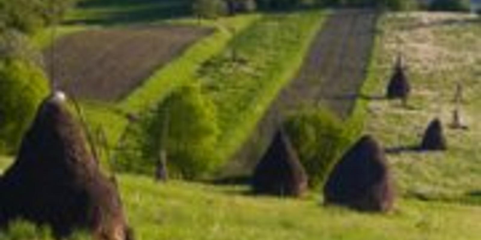 Земля: купить или продать?