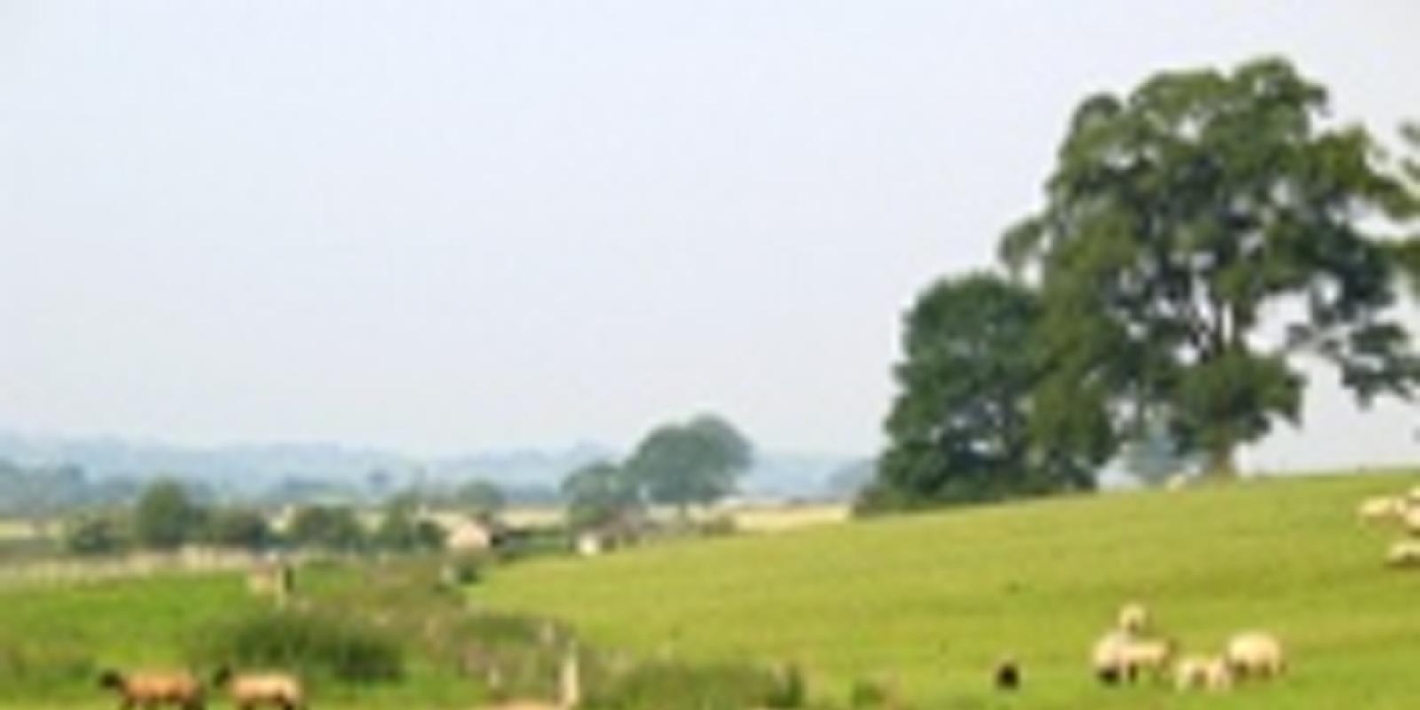 Межевание земельных участков: за и против