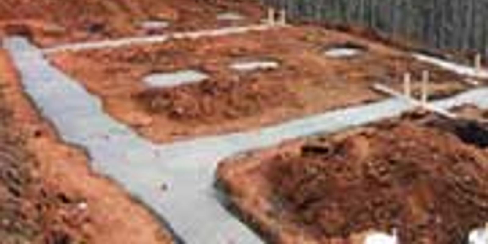 Пока не грянула зима