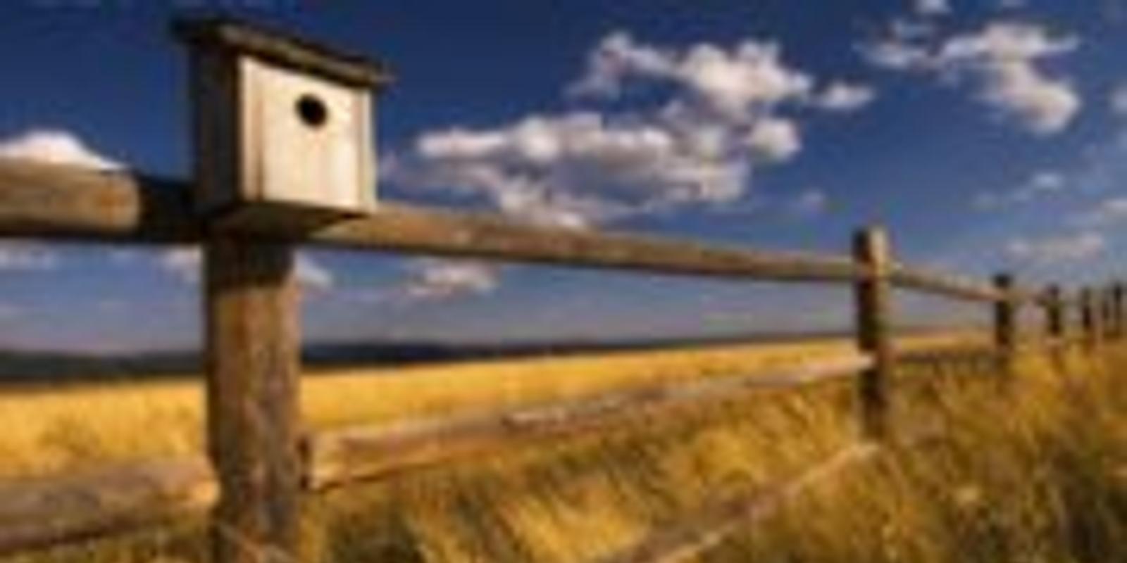 Решения для загородной недвижимости