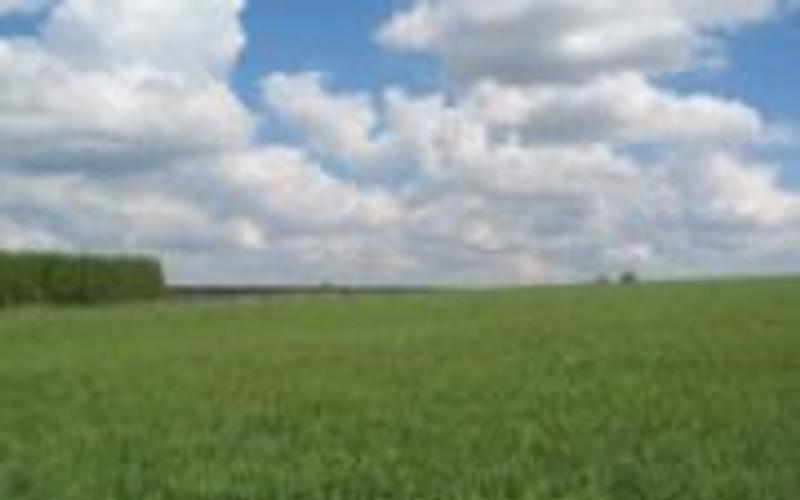 Отберут ли землю у собственников в пользу государства