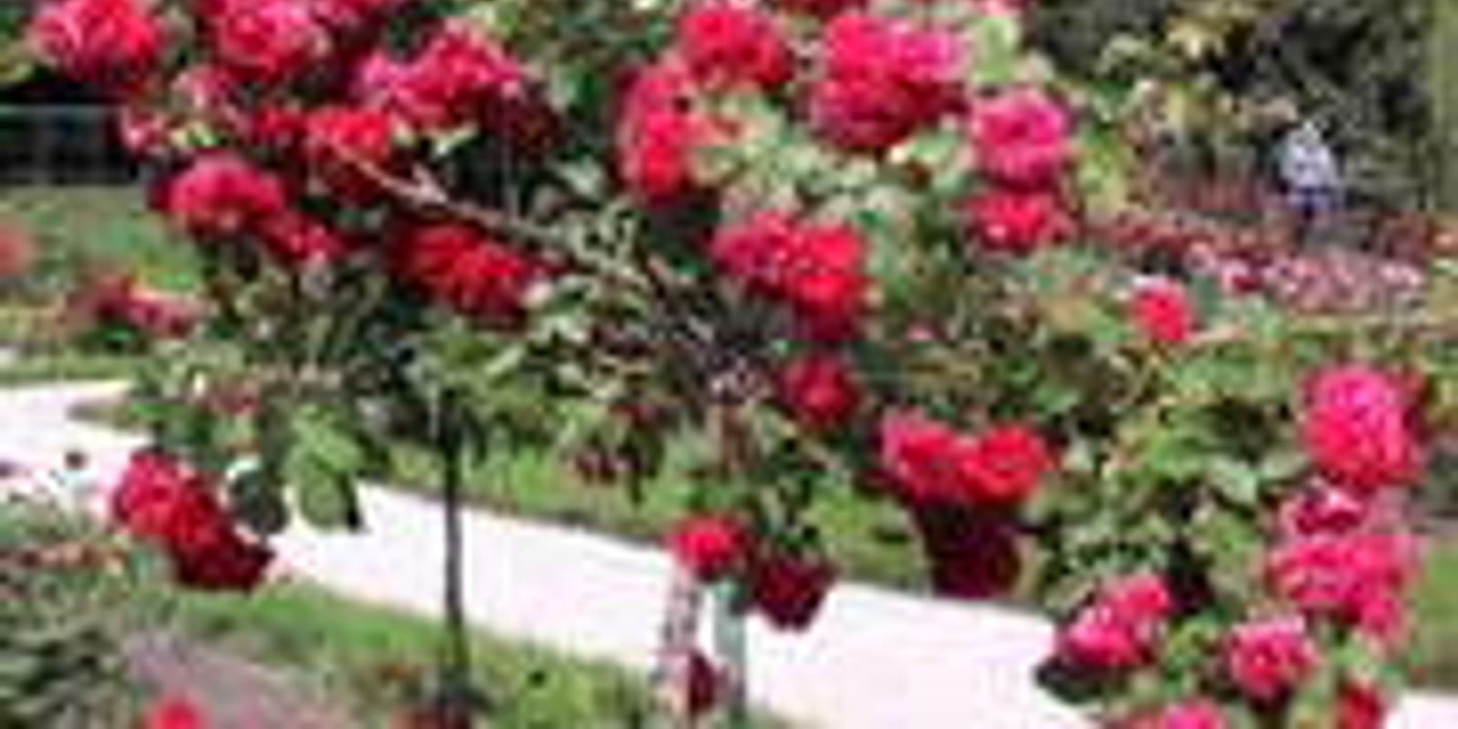 Регионы: горожане раскусили прелести<br/> загородной жизни