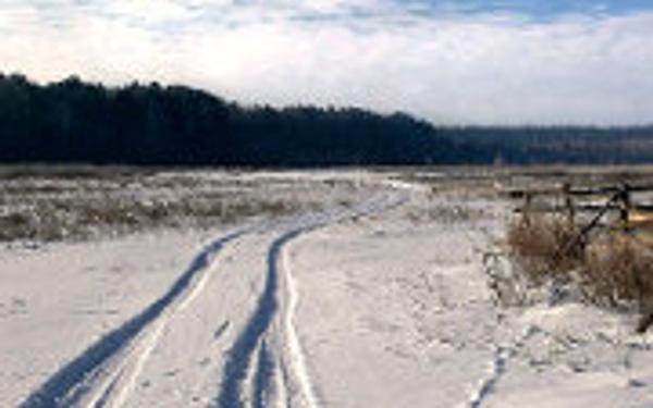 Земля без подряда: что купить на распродаже?