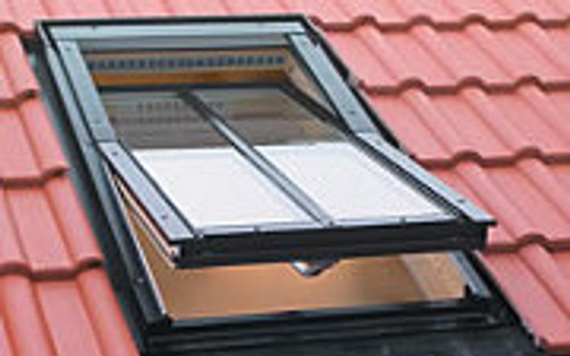 Жизнь за большим стеклом